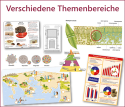 Hier geht es zu den Infografiken