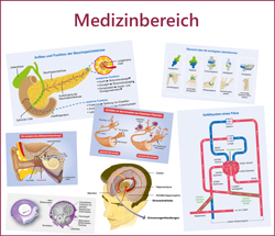 Hier geht es zu den wissenschaftlichen Infografiken